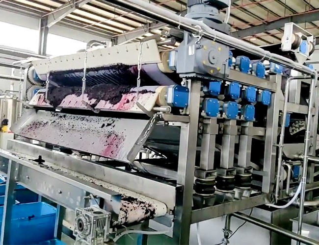 帶（dài）式壓榨機客戶桑葚榨汁使用現場